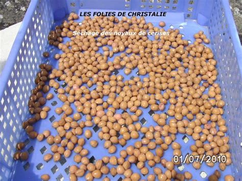 Bouillotes Aux Noyaux De Cerises Les Folies De Christalie Ou Quand