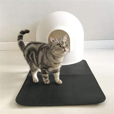 Waterproof Cat Litter Mat – Reinsho