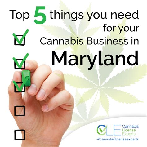 Maryland Cannabis License Get Licensed Grow