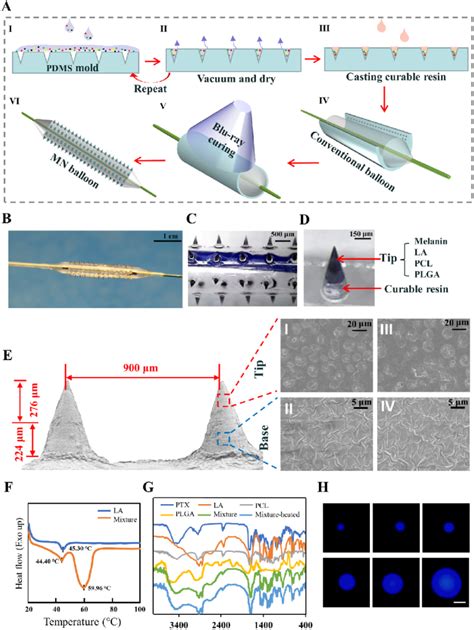 Fabrication Schematic And Characterizations Of Mndlb A Conformal