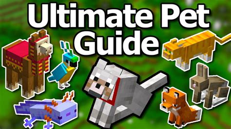 Ultimate Minecraft 1 21 Pet Mob Guide How To Tame All Mobs Cat Wolf