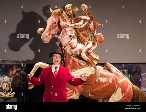 El Dr Gunther von Hagens con la cría de caballos y jinetes en el