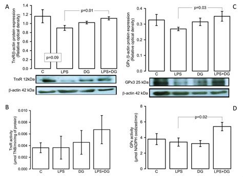 Enzymatic Activities And Expressions Of The A Txrr Expression B