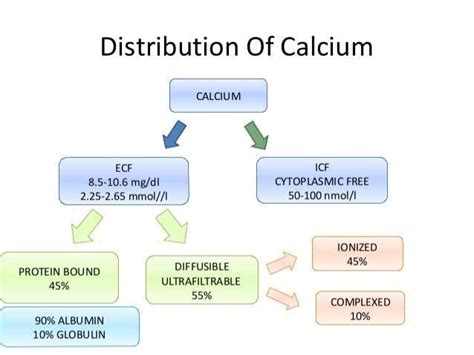 Calcium Imbalance Updates