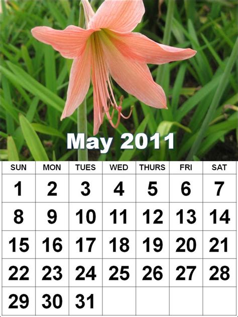 njyloolus: may 2011 calendar with holidays