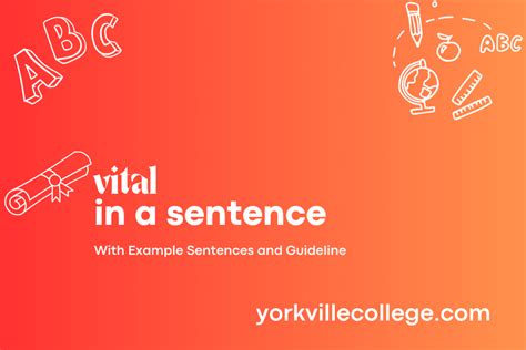 How To Use Vital In a Sentence? Easy Examples 