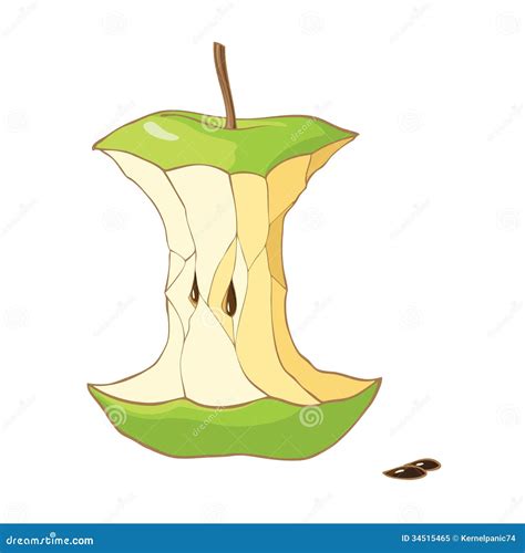 Green Apple Core Royalty Free Stock Photo Image 34515465