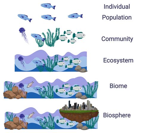 Biology Ecology Population And Community Ecology Population Conheça As Vantagens De Apostas