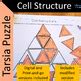 Cell Structure Tarsia Puzzle In Digital And Printable Format With 2 Levels