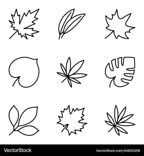 Simple Line Set Of Leaf Icons Isolated On White Vector Image