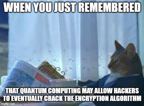 11 Hilarious Cybersecurity Memes Of Cats