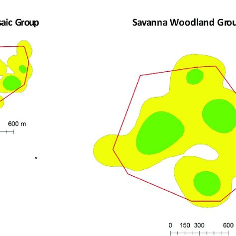 The 24 Month Home Ranges Ha And Core Areas Ha Of The Two Ashy Red