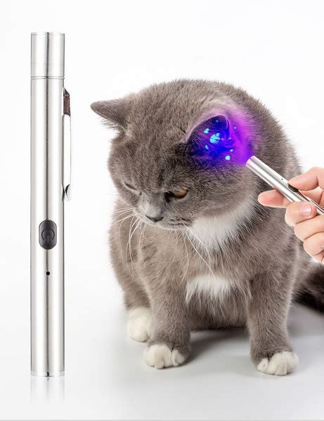 Портативная лампа Вуда, УФ-черный свет для ухода за домашними собаками ...