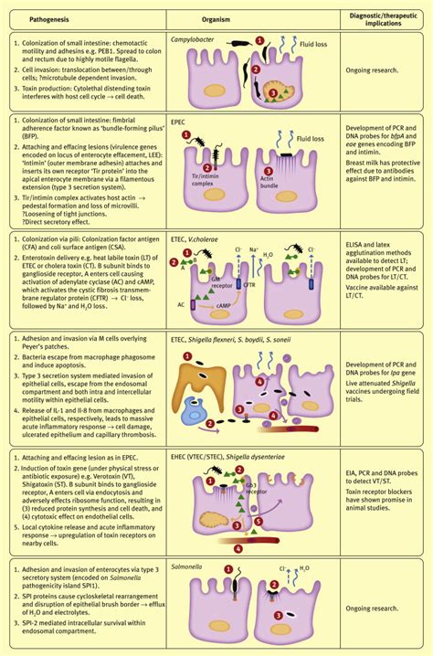 Bacterial Gastroenteritis Medicine