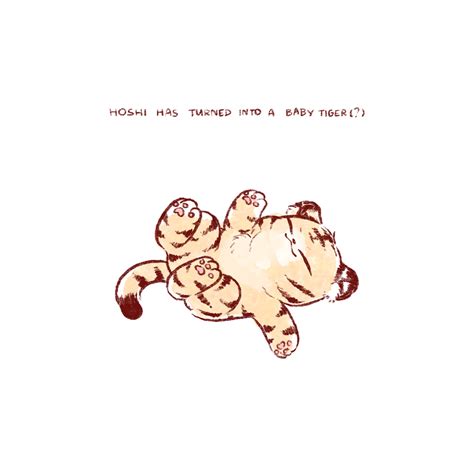 Mewiipk Facethesun On Twitter Hoshi Has Turned Into A Baby Tiger