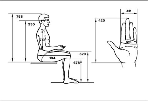 Ergonomics For Chair Ch Design Interior Design Sketches Human