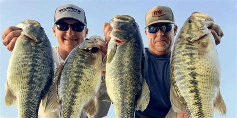 Spotted Bass Vs Largemouth The Differences Explained Usangler