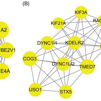 The Significant Modules Identified From The Protein Protein Interaction