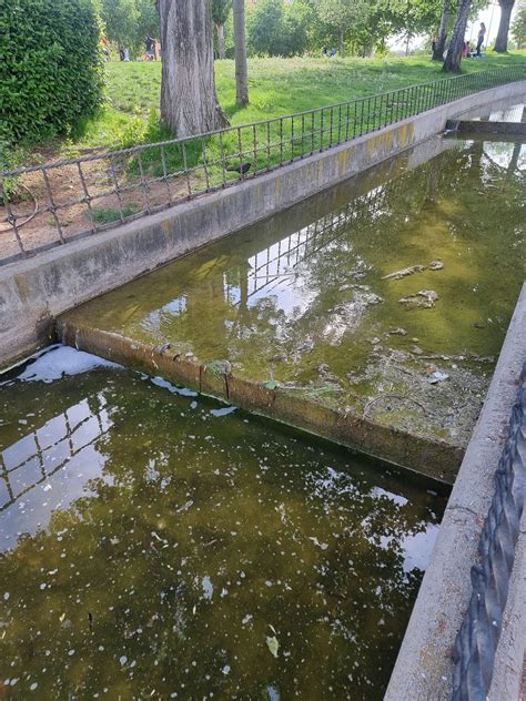 CIUDADANOS DE PARLA: Los patos huyen del Parque de Parla-Este por la