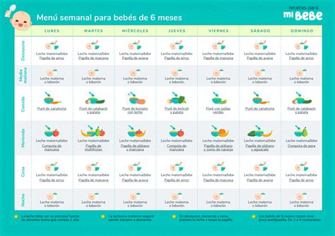 Guía de horarios de alimentación para bebés de 6 meses consejos y