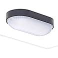 Kellerlampe LED Ovalleuchte Kellerleuchte LED Oktaplex Lighting 4000K