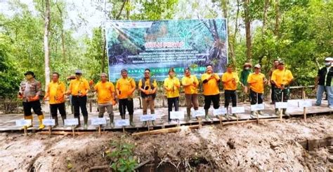 Dukung G Skk Migas Kkks Tanam Ribuan Pohon Mangrove Di Jambi