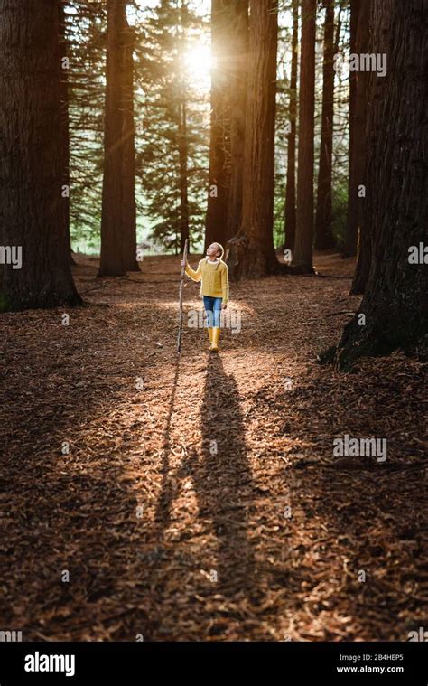 Fille blonde marchant dans la forêt Banque de photographies et dimages à haute résolution Alamy