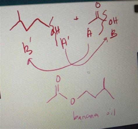 Synthesis of isopentyl acetate (banana oil) Isopentyl acetate can... | Course Hero