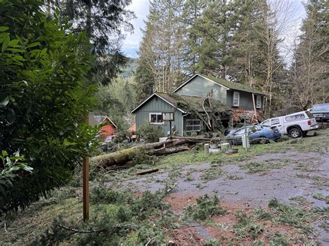 Second Trader Joe’s location may be coming to Bellingham - My
