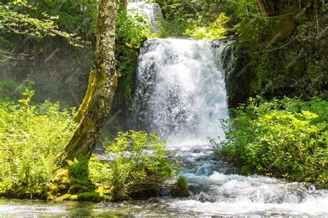 Premium Photo | Waterfall in the forest