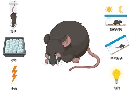逼疯一只鼠，只需这几步 守正弘药（武汉）生物科技有限公司