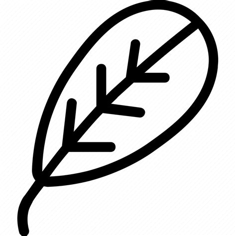 Blackthorn, leaf, nature, ecology, botany, biology icon - Download on Iconfinder