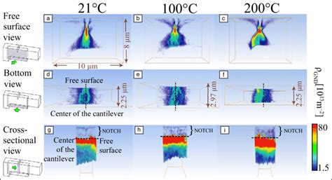 Total Geometrically Necessary Dislocation Density Reconstructions