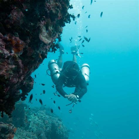 Cursos Buceo Koh Tao Https Islatortugadivers Cursos De Buceo En