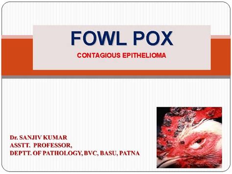 FOWL POX CONTAGIOUS EPITHELIOMA INTRODUCTION DEFINITION Fowlpox is