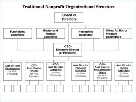 Board Of Directors Organizational Chart Template Minga