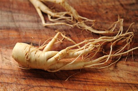 Le Ginseng Un Cadeau Impérial Soigner Par Les Plantes