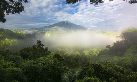 Gunung Leuser National Park - Endangered Ecosystems