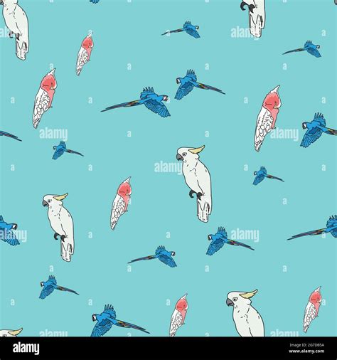 Vector Blue Background Tropical Birds Parrots Macaw Exotic Cockatoo