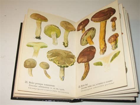 NATURE CHAMPIGNONS ATLAS ILLUSTRE GRUND 1975 94 PLANCHES COULEURS 37