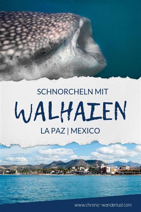 La Paz Tagesausflug Walhaie Street Art Chronic Wanderlust Mexiko