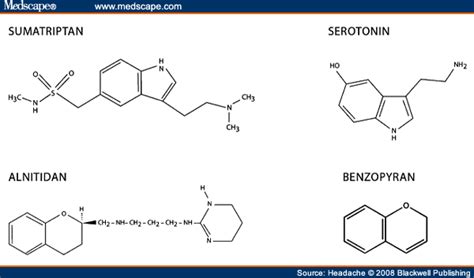 Triptan Drugs Natural Killer Cell Cytotoxicity And Pmmp 9 Secretion