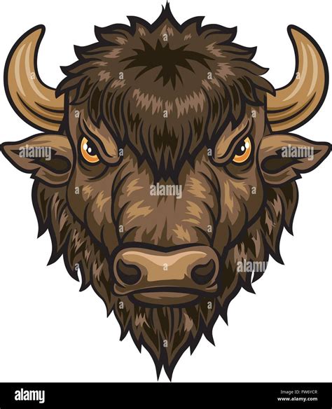 Long Horn Bison Stock Vector Images Alamy