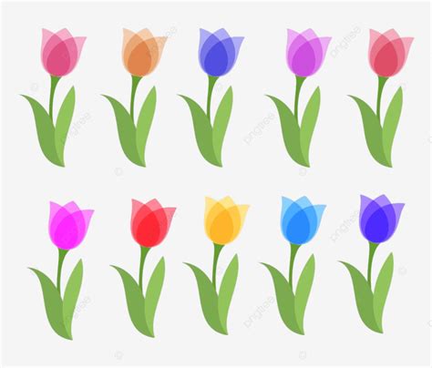 Tulips Isolated Vector Png Images Vector Set Of Colorful Tulip Graphic