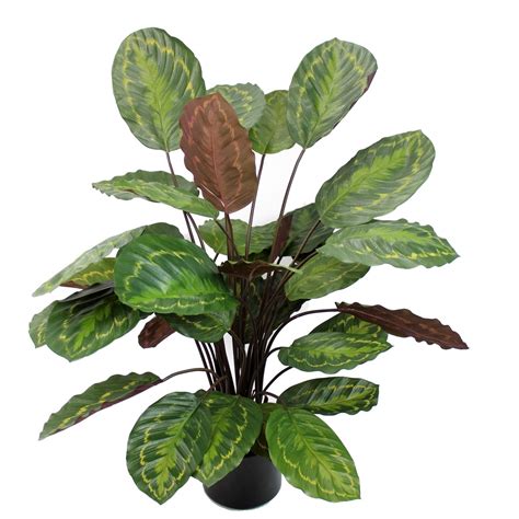 Calathea Artificiel Rosea Picta 70 Cm Plantes Vertes Artificielles