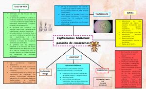 Caso Clinico Cetoacidosis Diabetica Universidad Rafael Landivar