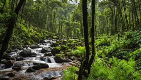 Impact of Climate Change on Sinharaja Forest Reserve