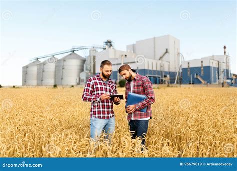 Dois Fazendeiros Est O Em Um Campo De Trigo Tabuleta Os Agr Nomos