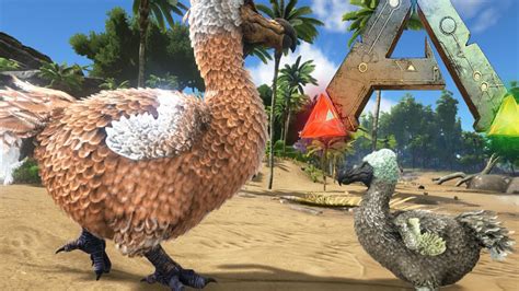 Ark Survival Evolved Dodo