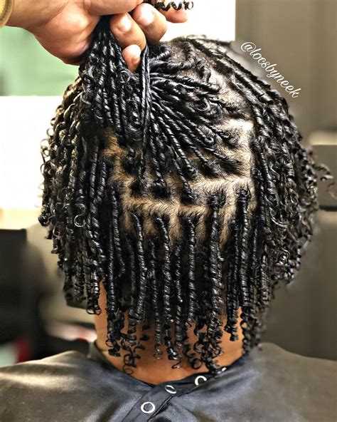 30 Braids Over Starter Locs Fashion Style